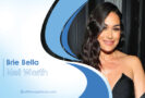 Brie Bella Net Worth: A Closer Look at the Wrestling Superstar’s Wealth
