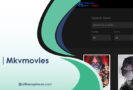 10 Best Mkvmovies Alternatives: Where to Watch Movies Online Today